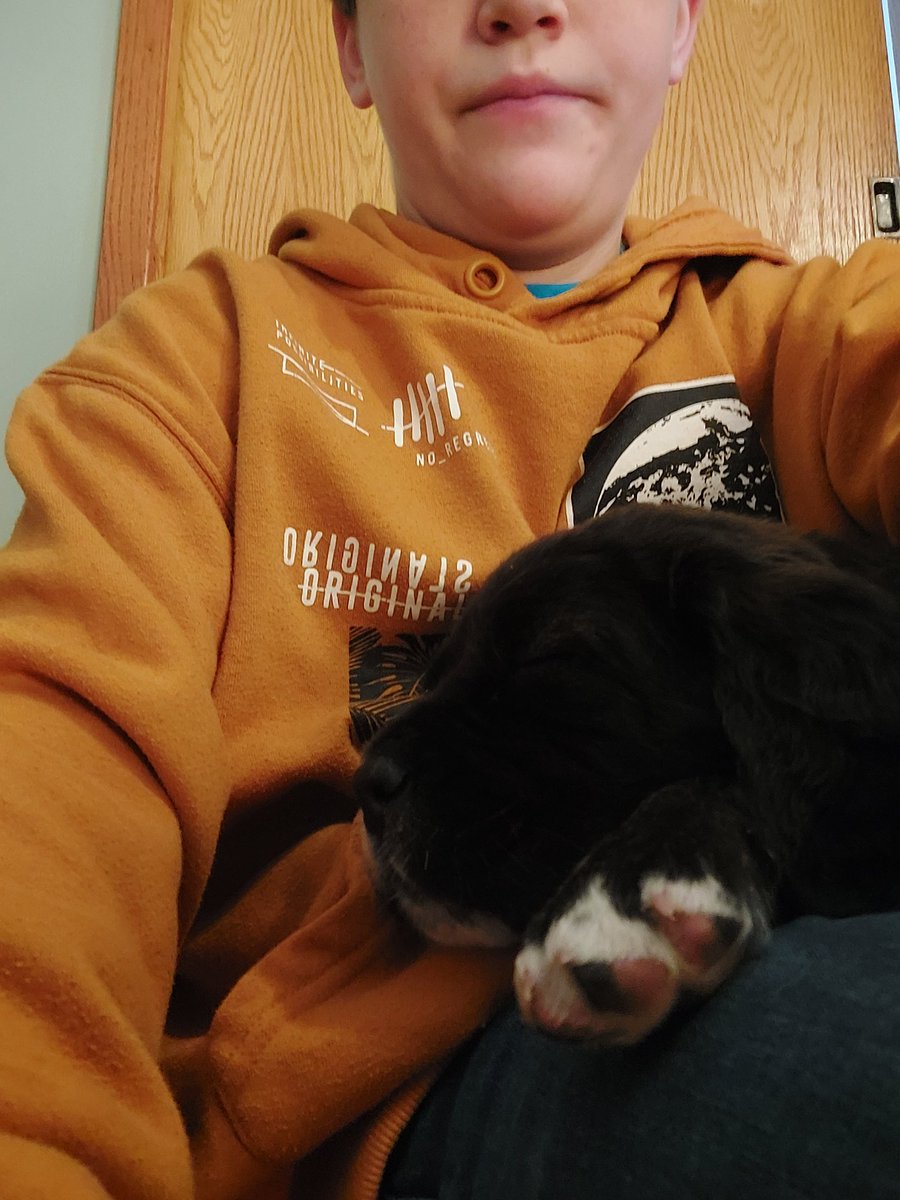 BabyEnderManYT tweet media