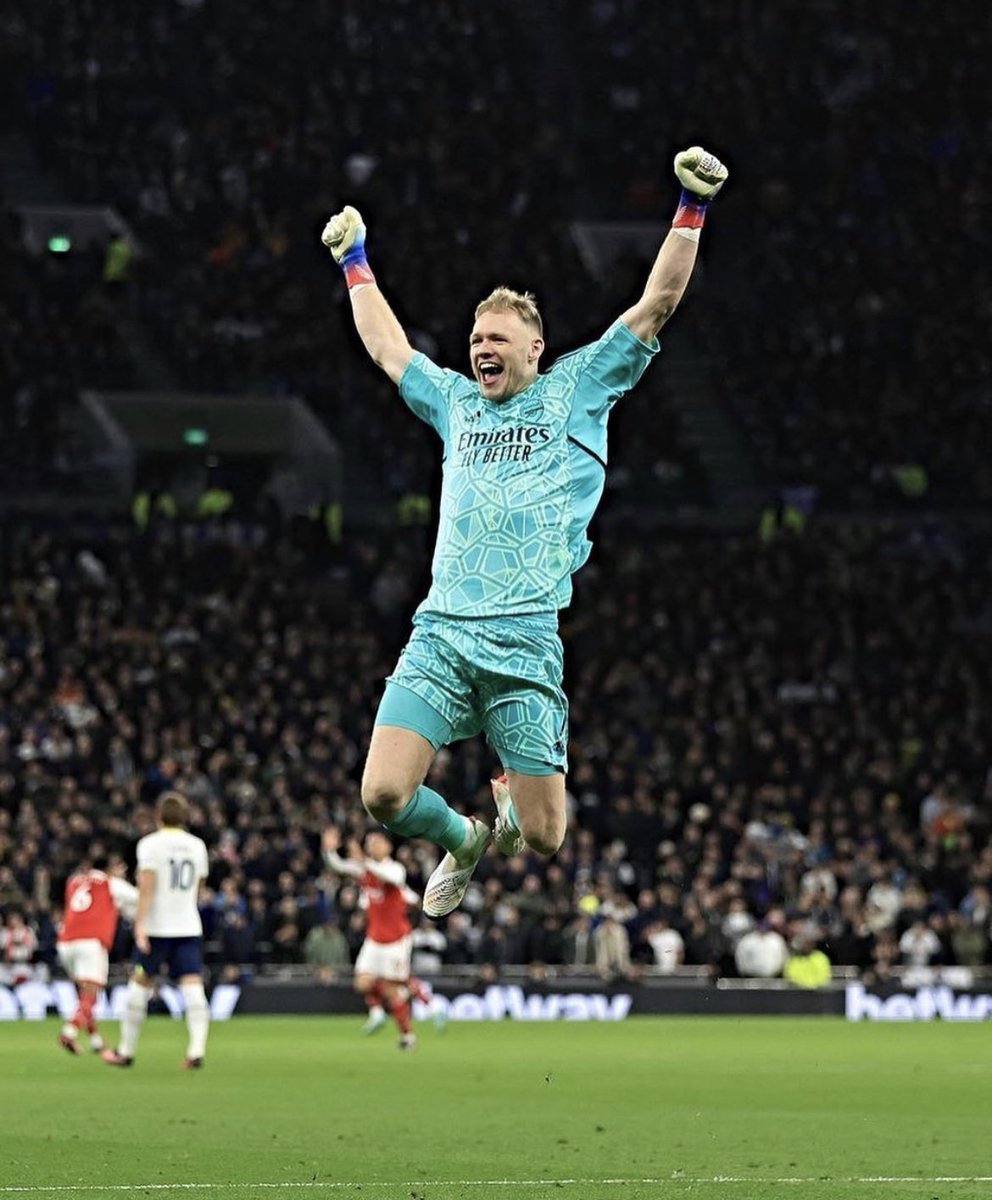 PatrickTimmons1's tweet photo. A Spurs fan about to get a lifetime stadium ban and this is their final memory of live football. I love this game. https://t.co/XQVCHPJNUg