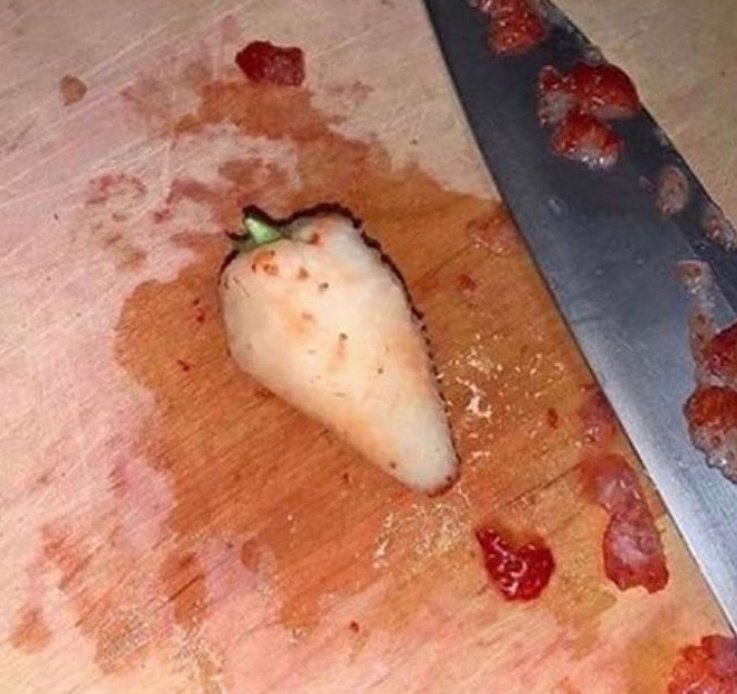 bautizita's tweet photo. lo que mas paja me da de comer  frutilla es tener q sacarle la cascara https://t.co/Qv1bLA9Us2