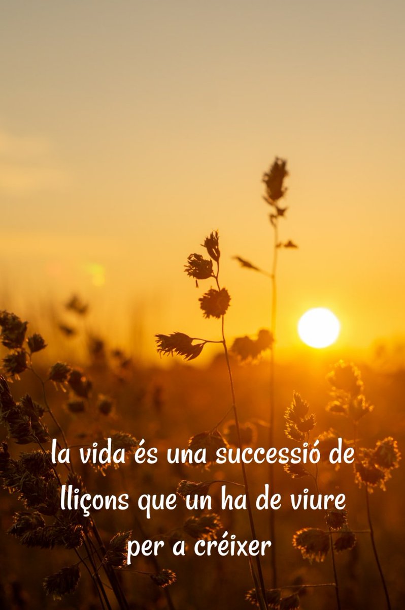denriquezcid's tweet photo. #gestalt
#terapiagestalt
#terapia https://t.co/ntM3SA9doy
