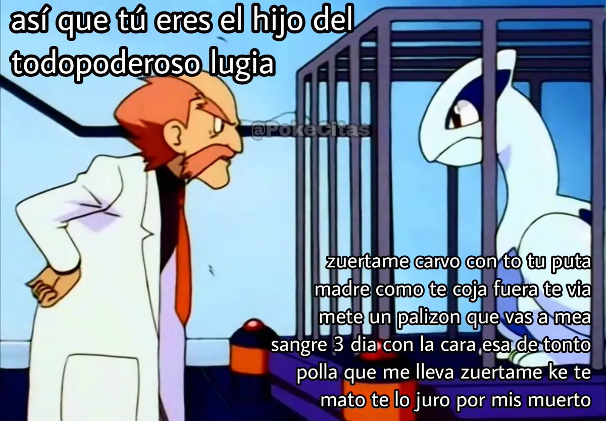 Memes quentes todos os dias — segue já!, image size:1200x833