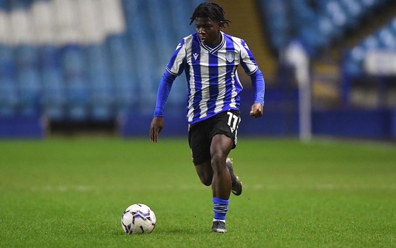 Joey Phuthi tweet media