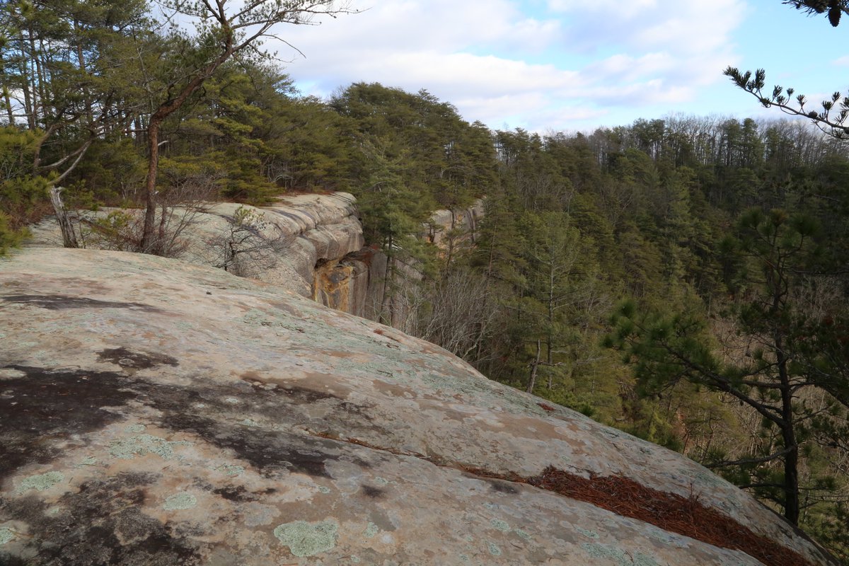 Todd_the_Hiker's tweet photo. A few scenes from out on Tarr Ridge in the amazing #RedRiverGorge #Kentucky
@redrivergorgeKY
@DanielBooneNF
#RedRiverGorge #Kentucky #RRG #DBNF #KY https://t.co/xMpLU2ZZwX