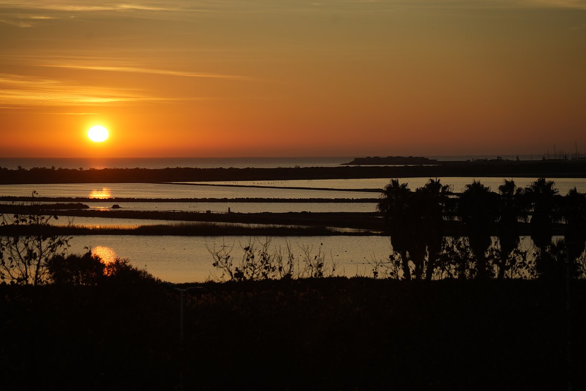 MambaPhotoTrave's tweet photo. Atardecer y amanecer en San Pedro del Pinatar https://t.co/aF1G3I0KJl