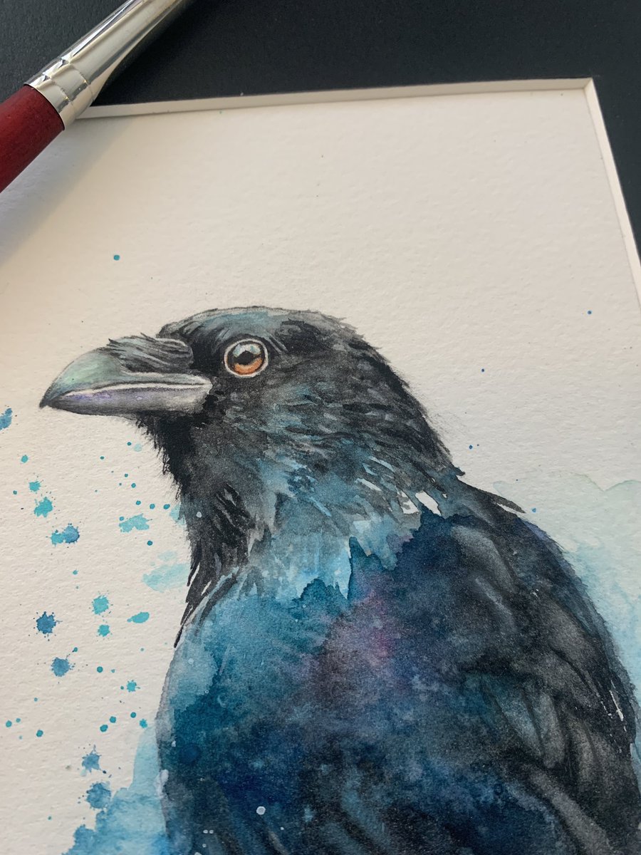 I hope you’re having a lovely day wherever you are! I’ve just listed this Common Raven watercolor painting for sale in my ko-fi shop - link in profile 🎨

#originalart #watercolor #birdart #birds #paywhatyouwant #raven