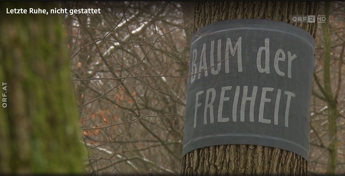 seibelTweet's tweet photo. Magazin | Bürgeranwalt
Letzte Ruhe, nicht gestattet
Seit einigen Jahren werden in Österreich sogenannte Naturbestattungen immer häufiger durchgeführt...
#Urnenbestattung #MA40 #Volksanwalt #Buergeranwalt #Bürgeranwalt
https://t.co/r3ayUu1H9D https://t.co/jPlkgaoF4y