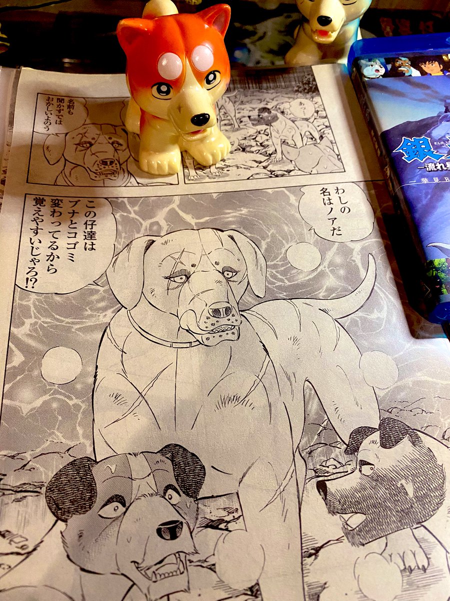 🌌高橋よしひろ先生新連載🌌銀牙伝説レクイエム🌌 on X