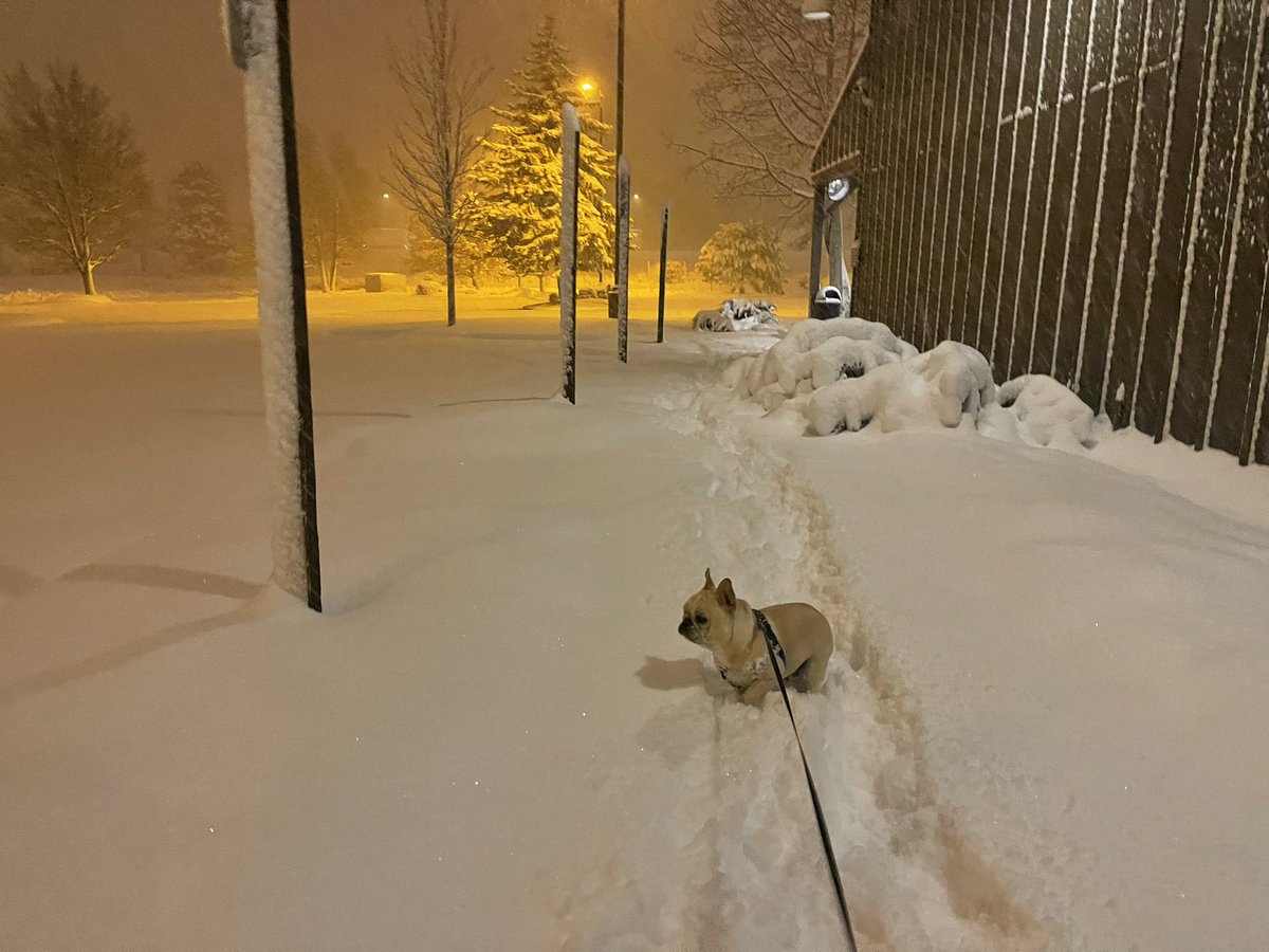 Manny (@mannywedges) on Twitter photo 