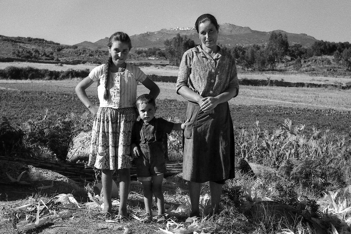 Portugal Rural tweet media