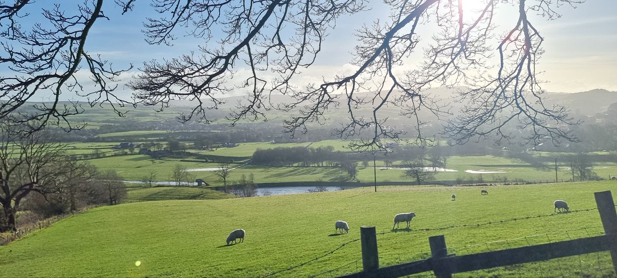 _mrsp73's tweet photo. Our Great British countyside. No better way to spend a Sunday !! #walkthedog #dogwalk #Januarysun #hikingadventures #keepingfit https://t.co/POtF5NxJ3n