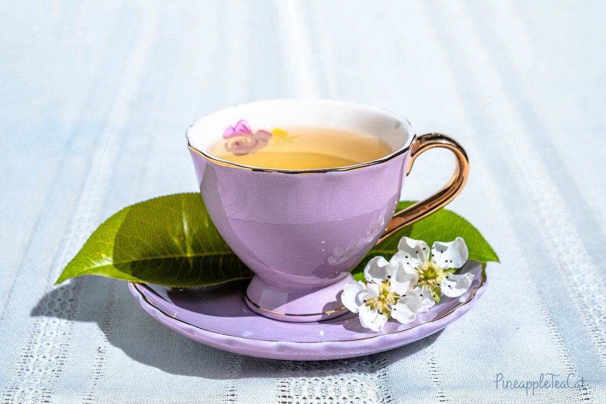 PineappleTeaCat's tweet photo. Violet Tiny Teacup 
#photography #photographer #tea #teacups #flower #pastel #pastelteacups #teacupphotography #roses #tinyteacups #teaphotography https://t.co/FX6VRp9v9E