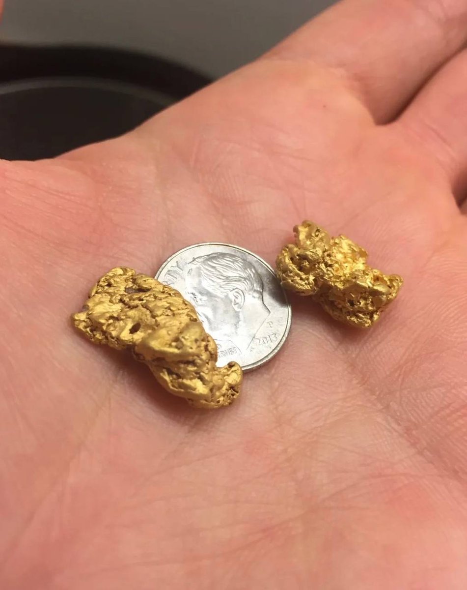 Defi_Gold_Miner's tweet photo. 💪🏼 Join our amazing community here: https://t.co/FXhuw8cupN
DYOR 👉🏻 https://t.co/8XCnWkzKzB, or skip straight to our #goldpaper @ https://t.co/wajV1mJIQY ✨️📜
We'll be waiting. 😎⛏️ https://t.co/VaO2bv5ZF1