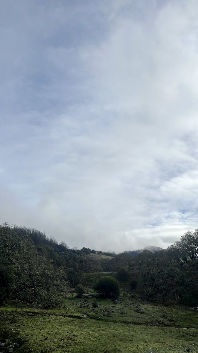 HeatherHolmesTV's tweet photo. Good morning #BayArea from today’s #RunningRoute!! Anyone else still smiling after that wild-card win?!! Crazy to think the @49ers haven’t lost in nearly three months. Let’s keep it going! #49ers #RunningInSantaRosa https://t.co/BpIgbbnOte