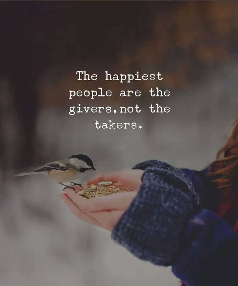 WavesToIncome's tweet photo. #sundayfunday

📸 Positive Flame https://t.co/h7Du45P90q