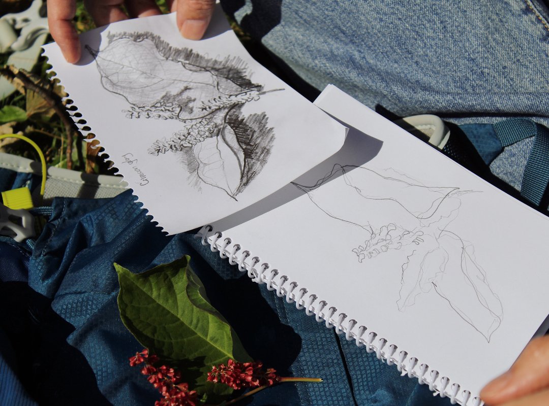 batemanfdn's tweet image. Make time for yourself by joining our adult winter drawing course! The physical act of drawing, its movement, and tangibility is helpful for staying calm and focused.

Sign up today register.naturesketch.org/product/nsvic-…

#learntosketch #artforwellbeing #artclassesyyj #thingstodoyyj #VictoriaBC
