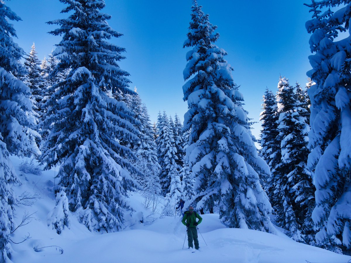 Al Powell tweet media