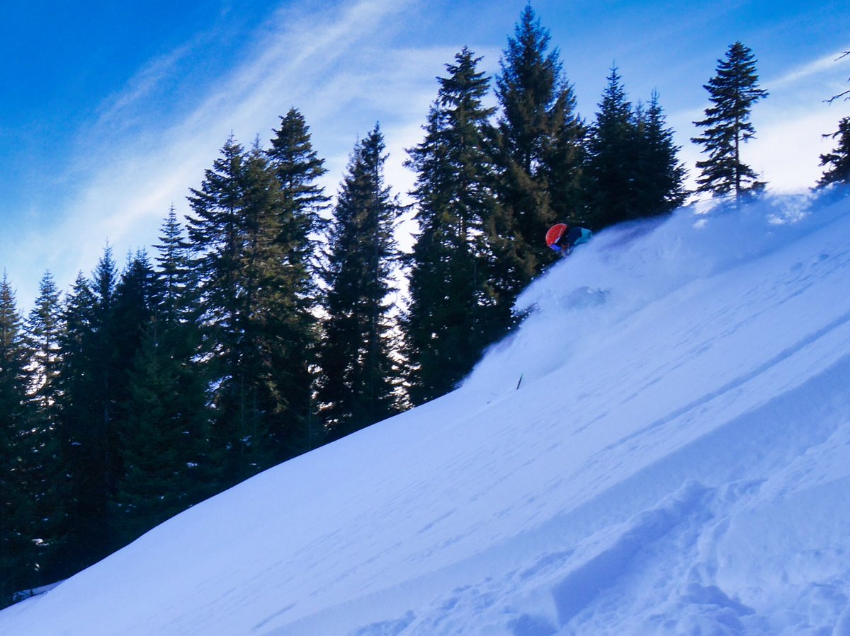 Al Powell tweet media