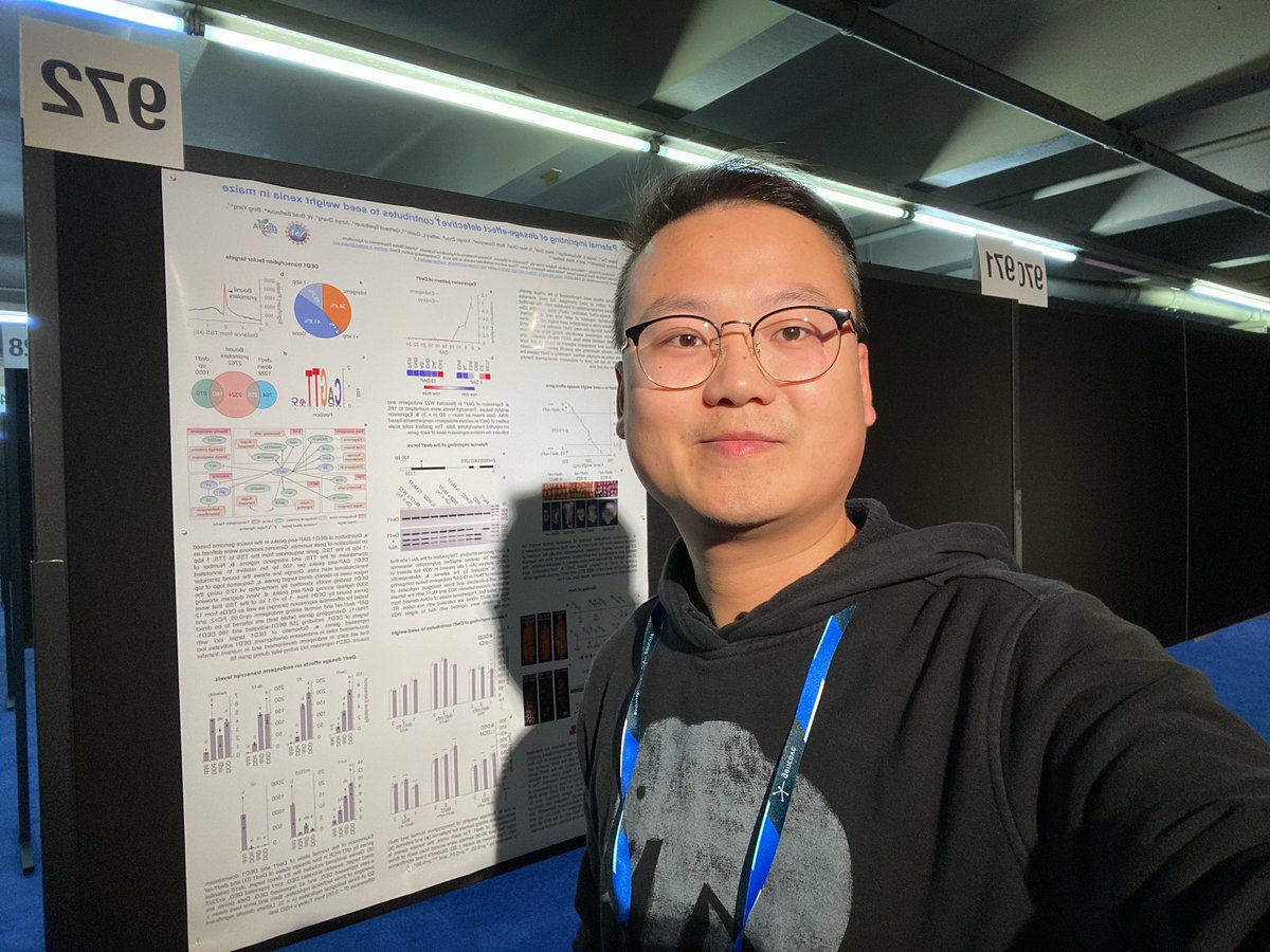 Dawei Dai tweet media