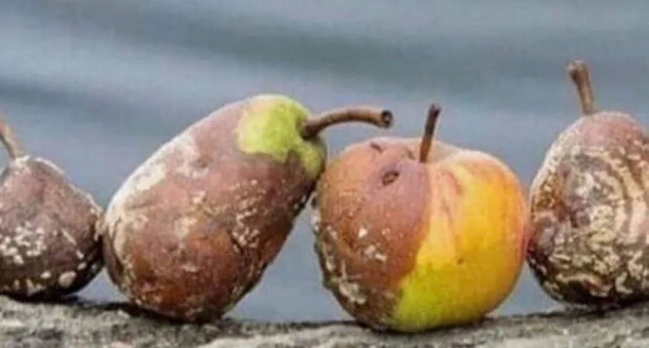 Kiminle yan yanaysak zamanla ona benzeriz. Bu yüzden “Sadece iyi olmak yetmez, kötüden de uzak durmak gerekir.”İşinizden,yanınızdan,yakınınızdan uzak tutun