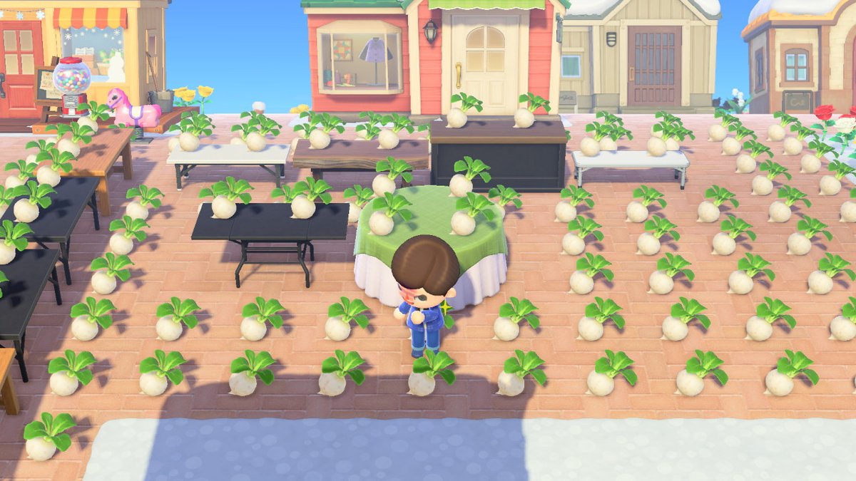 Gearard Bondoc on Twitter "Ha ha ha! I bought a lot of turnips from