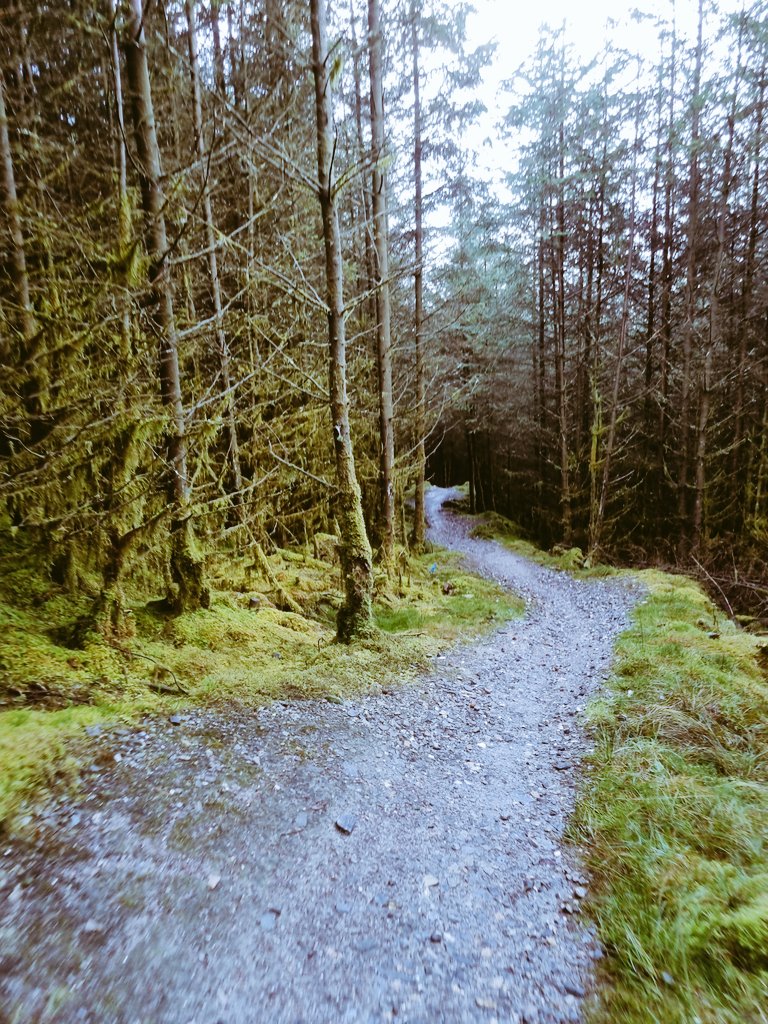 richardpduffy's tweet photo. Sunday, hill day. The perfect trails of the glens.
#gortinglens #omaghharriers #trails #trailrunners https://t.co/wgeT8sUHHK
