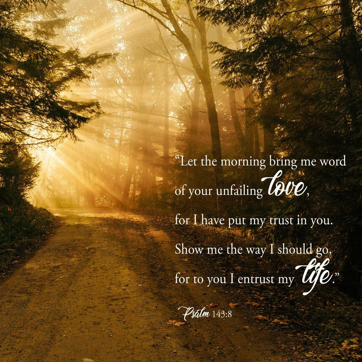 GuideTheWheel's tweet photo. "Let me hear in the morning of your steadfast love, for in you I trust. Make me know the way I should go, for to you I lift up my soul" -Psalm 143:8 
@YouVersion #ScriptureVerseOfTheDay https://t.co/rC5q0prVLC