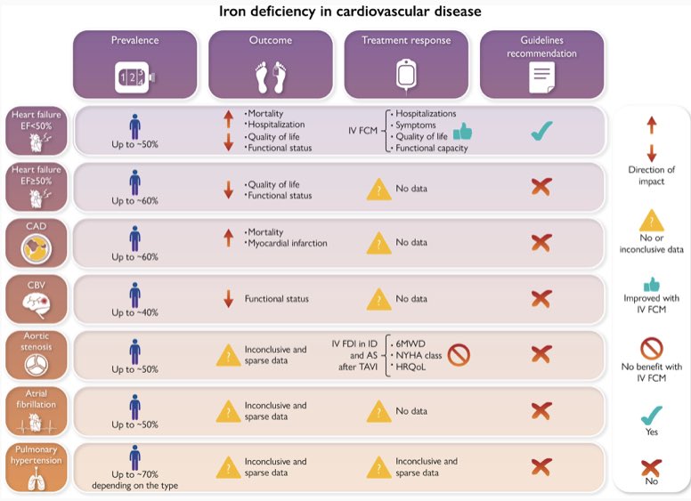 Revisión déficit de hierro (Fe) e insuficiencia cardiaca (IC). No se apoya uso de Fe oral en IC, pero Fe iv ⬇️hospitalizaciones, mejora calidad de vida, síntomas y capacidad funcional en IC-FEr estable y en hospitalizados por IC descompensada con FE <50% bit.ly/3CS7DBT