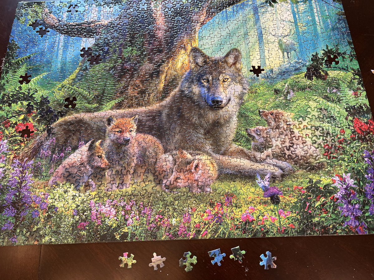 Heidi Hughes tweet media