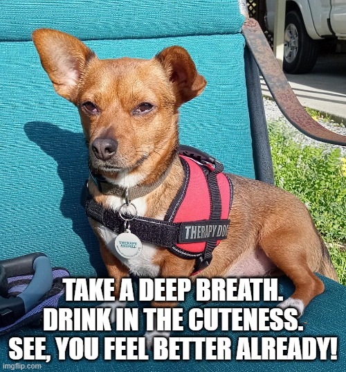 Commander X 🍀 tweet media