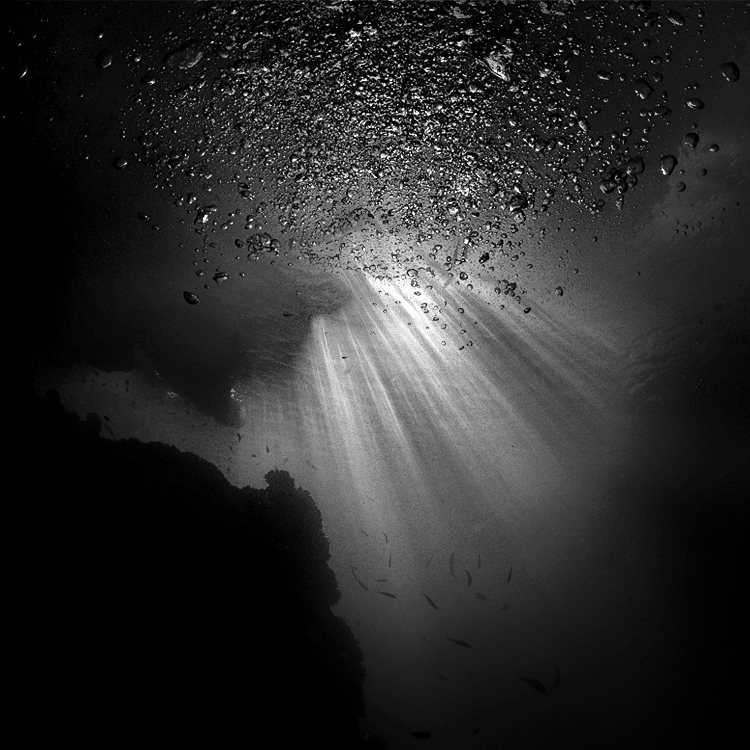 artlimitednet's tweet image. Penetrates by @hengki24
#monochrome #ocean #book #landscape #lights #underwater #surface #landscapeart #bubbles #fineart #contemporaryphotography #waterscape #ethereal #water #photography #nature #surreal #digital #river #dream #blackwhite… artlimited.net/10711/art/phot…