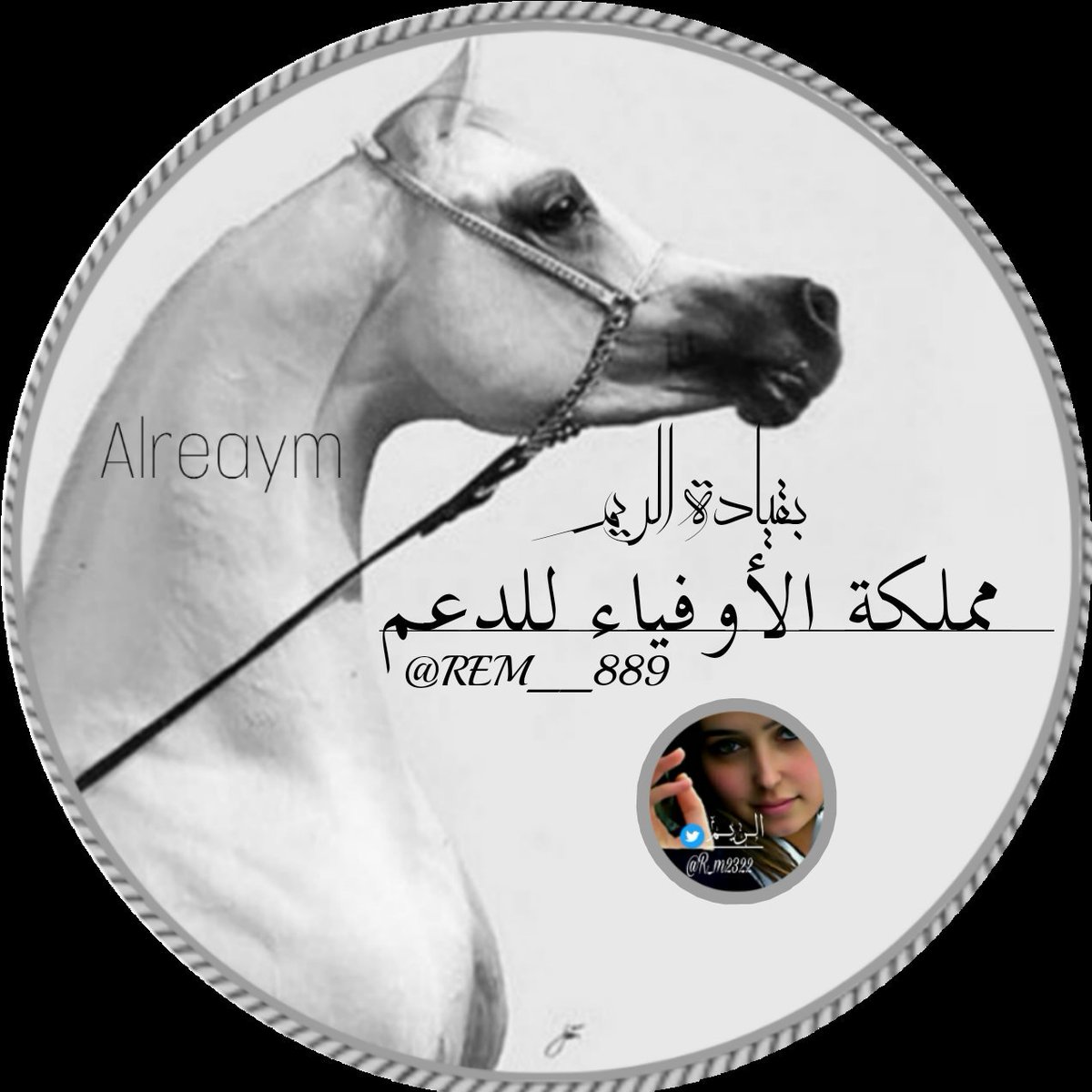 •✦•𓃗⁞. öȷĨᴝІɺĨ.•✦•مغلق tweet media