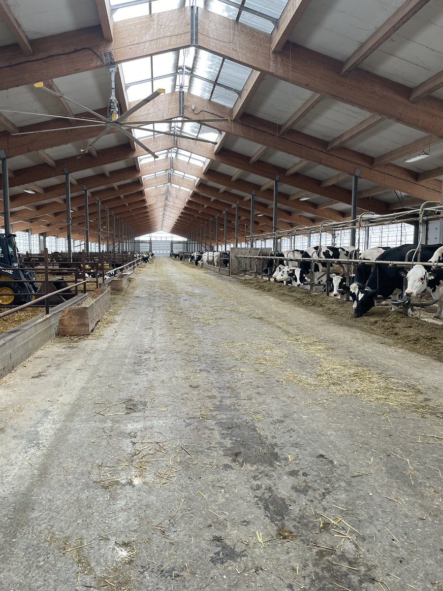 MegGoodfellow77's tweet photo. Day 6: yesterday we visited Ashworth farms in NB and then made our way to Quebec City for the last night of the trip! #aggiesgoeast https://t.co/YtxupFepYM