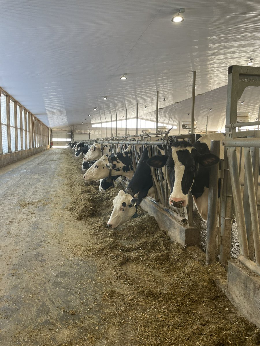 MegGoodfellow77's tweet photo. Day 7: final day of the trip! Made our way back to Ontario and stopped at Riverdown Holsteins. Now back to Guelph! #aggiesgoeast https://t.co/BDrLSGHH8E