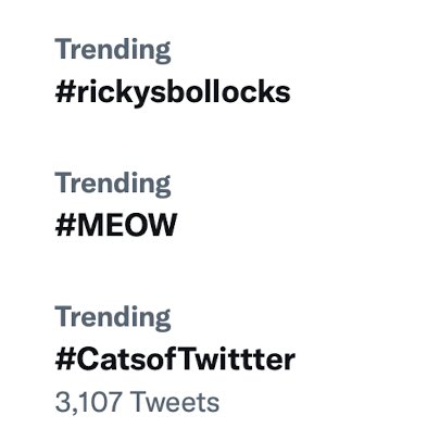 walknonsunshyn's tweet photo. ๐คฃ๐คฃ๐คฃUnder My Trends.. #RickyBollocks, #Meow and #CatTwitter! I have some catching up to do tonight yaโll!! Canโt wait to see Ricky Bollocks๐ Always a blast! https://t.co/wbRvLw0sSX