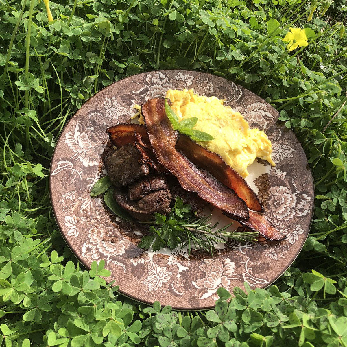 Recovering Vegan tweet media