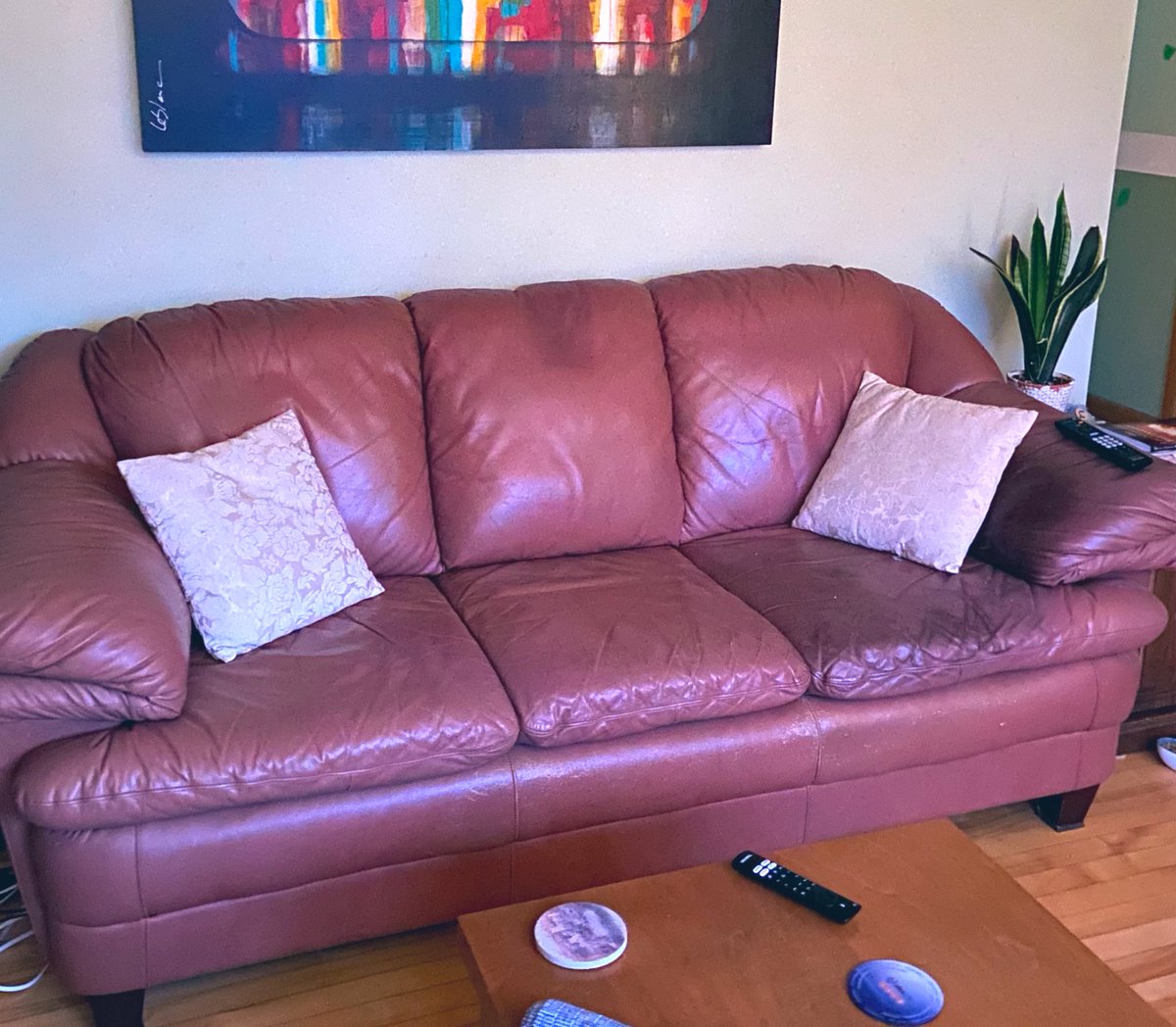 sophiec_expo's tweet photo. When I bought my house, this couch came with it. It’s discoloured on one side; it’s not my style really. However, it was free and it was already in the house, so I kept it. #NotPerfect #DoWithout #ReUse #Keep (the cushions were #freecycling) https://t.co/imiJUq4Db4