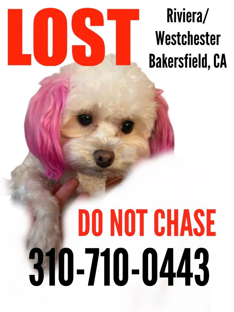 JH Scherck tweet media