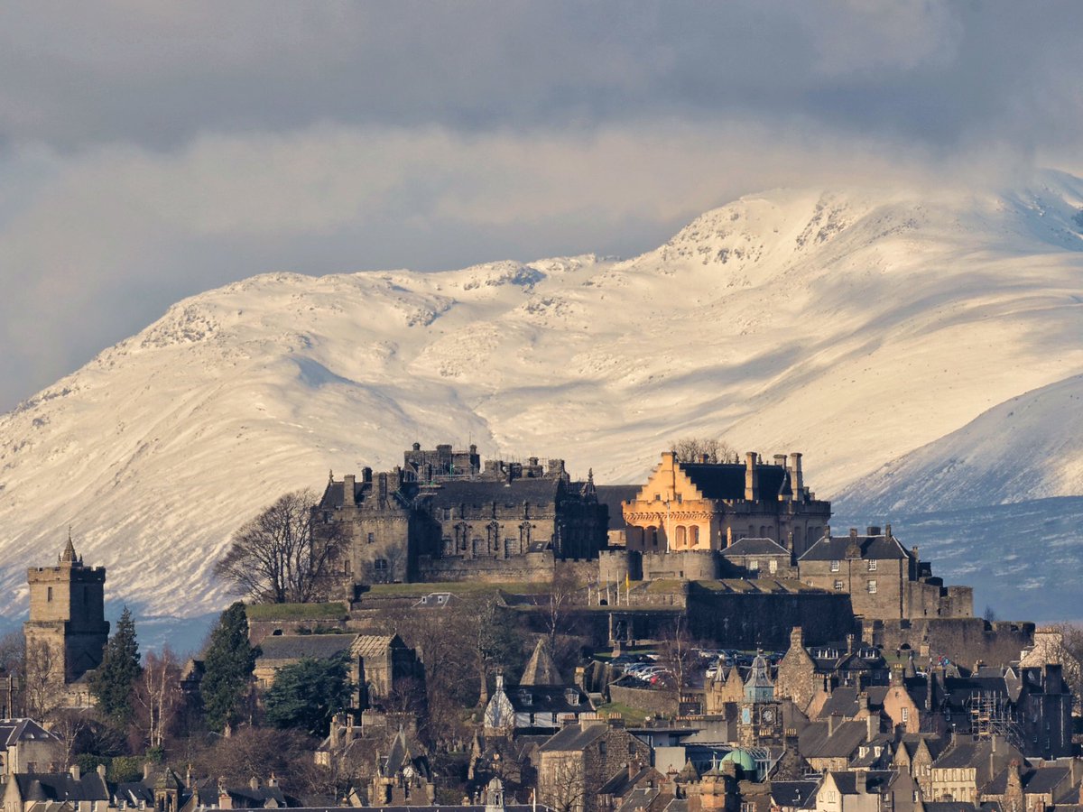 Scottish_Banner tweet picture