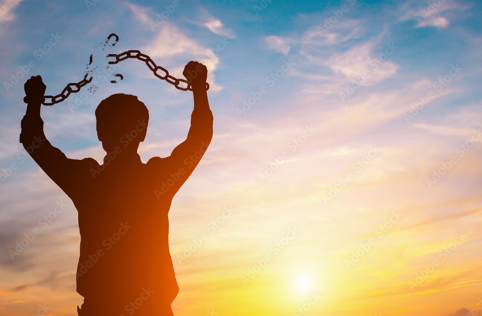 $𝔩𝔞𝔭☃️ on Twitter: "@toohighforthiis i stopped checking her likes https