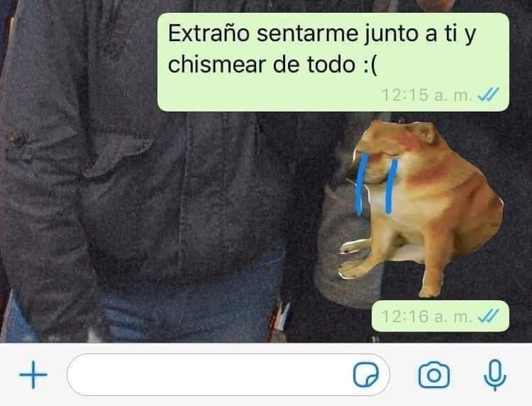 El Guarromántico tweet media