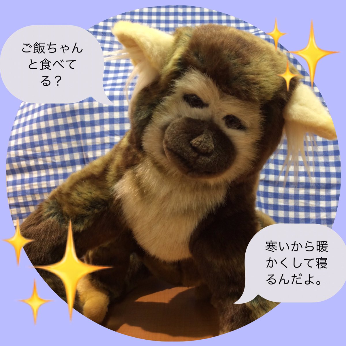 bear_labo's tweet photo. # HANSA

今回はリスザルさんをご紹介致します！
見ると、まぁーなんて優しい目をしているの❣️
こんな仔がお家にいたら癒されること間違いなし🌟
是非会いに来てくださいね♫

リスザル 税込3.300円

#池袋西武 #ベアラボ #bearlabo #ぬいぐるみ  #teddybear #ハンサ #リスザル https://t.co/ESnaya4hO1