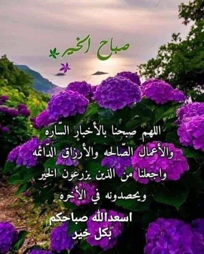 رسول الخالدي النجفي أبو علوش tweet media
