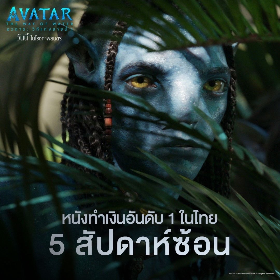 My Image 32