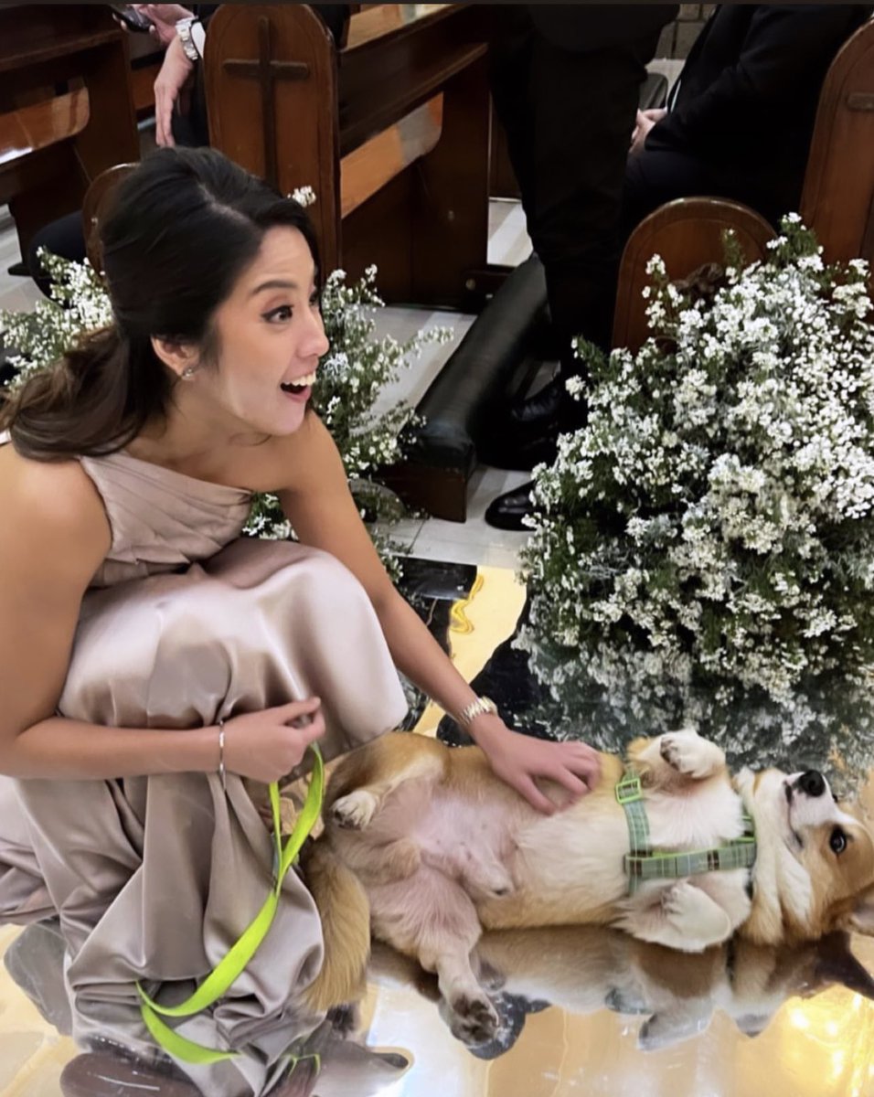 gretchenho's tweet photo. When you try walking a corgi down the aisle.. https://t.co/6OqDfHckHy