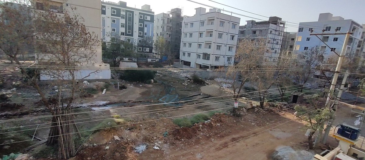 psripalle's tweet photo. @GHMCOnline @AmeenpurM Request to cut the dead trees located in Shilpa Layout, HMT Swarnapuri Colony, Miyapur, Hyderabad, Telangana. https://t.co/TogSYLUHgT