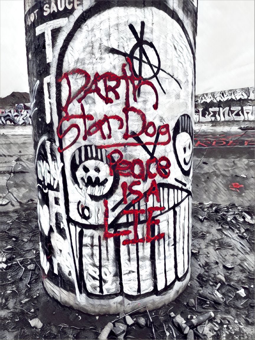 darthstardog's tweet image. Peace is a Lie. 
#sithcode #darthbane 
#peace #darkside