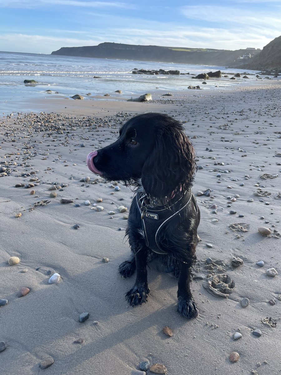 Victoria Binks tweet media