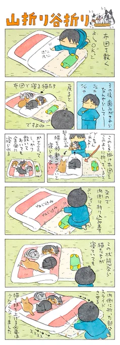 猫用生活│フェリシモ猫部  https://t.co/iPI4mcwbip @felissimonekobuから 