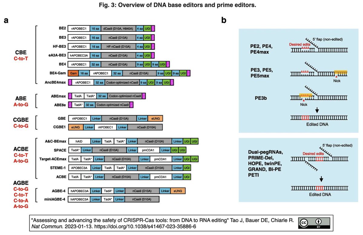 REVIEW 'Assessing and advancing the safety of #CRISPR-Cas tools: from DNA to RNA editing' Tao J @jianli_tao, Bauer DE, Chiarle R. Nat Commun. 2023-01-13. (10 pages, 247 references) doi.org/10.1038/s41467…