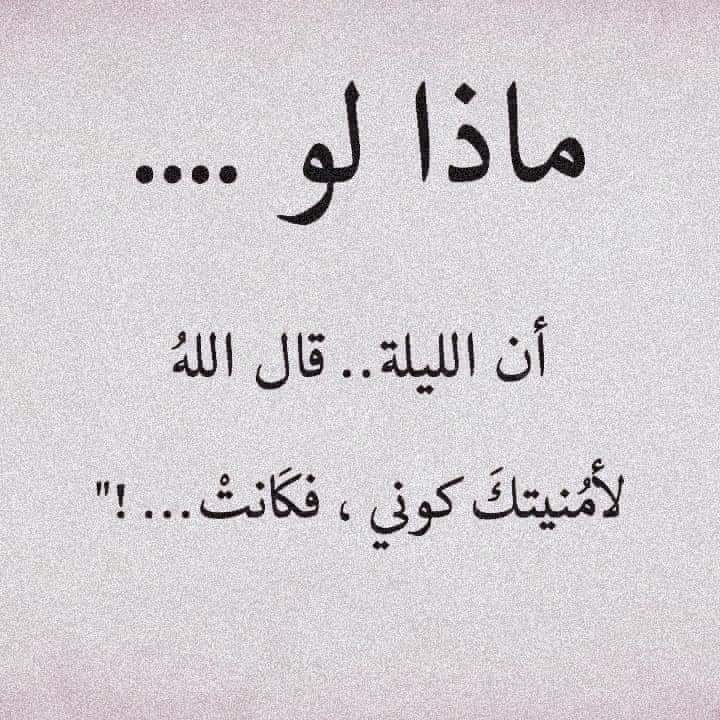 مريانا الخطيب tweet media